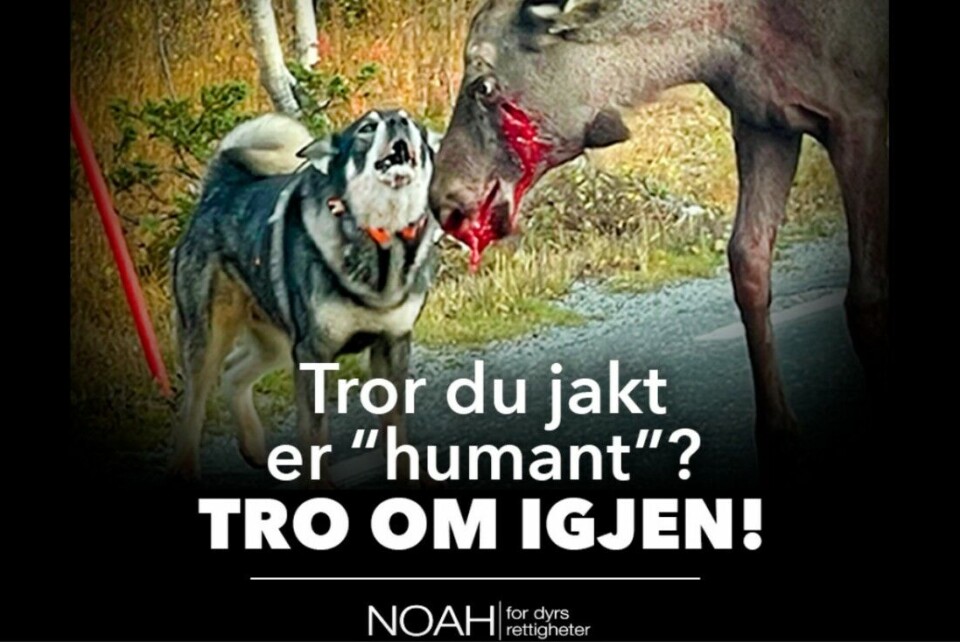 Reagerer på NOAHs kildebruk om skadeskyting