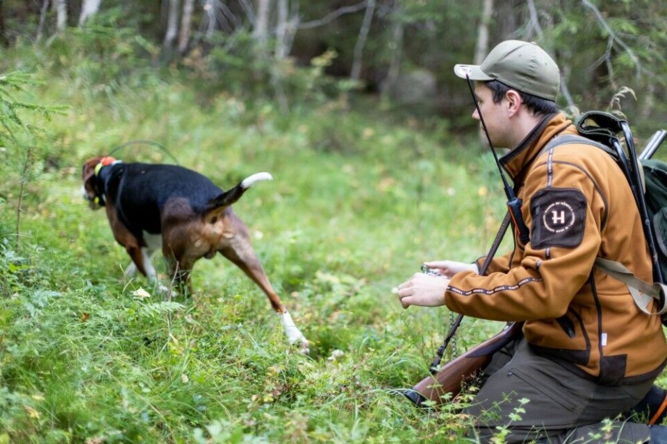 Harejakta er jakta for «gud og hvermann». Alle kan være med og slippe hund, uansett alder, fysisk form. Harejakta er jakta for «gud og hvermann». Alle kan være med og slippe hund, uansett alder, fysisk form.