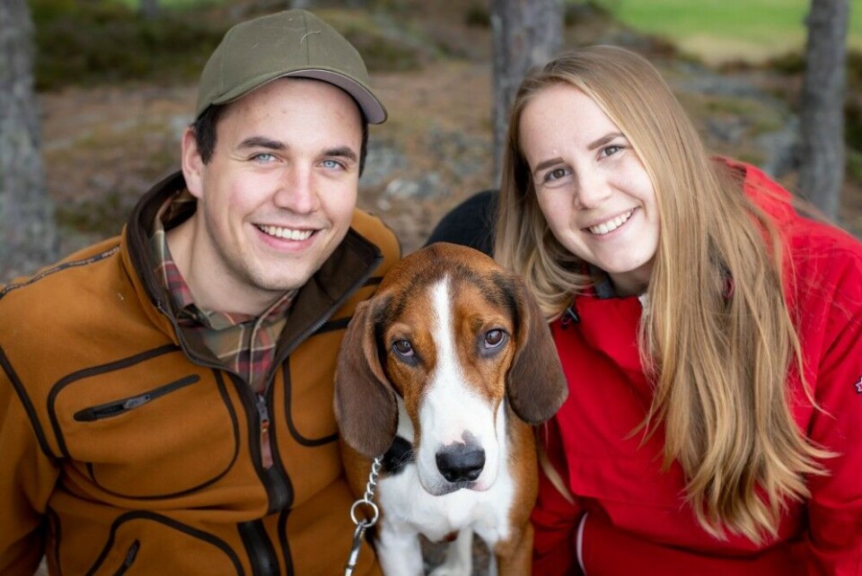 Samboerne Vetle Berntsen og Vilde Nilsen fra Skien føler at de har vært veldig heldige med valg av hund. Utstillinger og jaktprøver gir også noen mål å trene mot, sier de to. Samboerne Vetle Berntsen og Vilde Nilsen fra Skien føler at de har vært veldig heldige med valg av hund. Utstillinger og jaktprøver gir også noen mål å trene mot, sier de to.