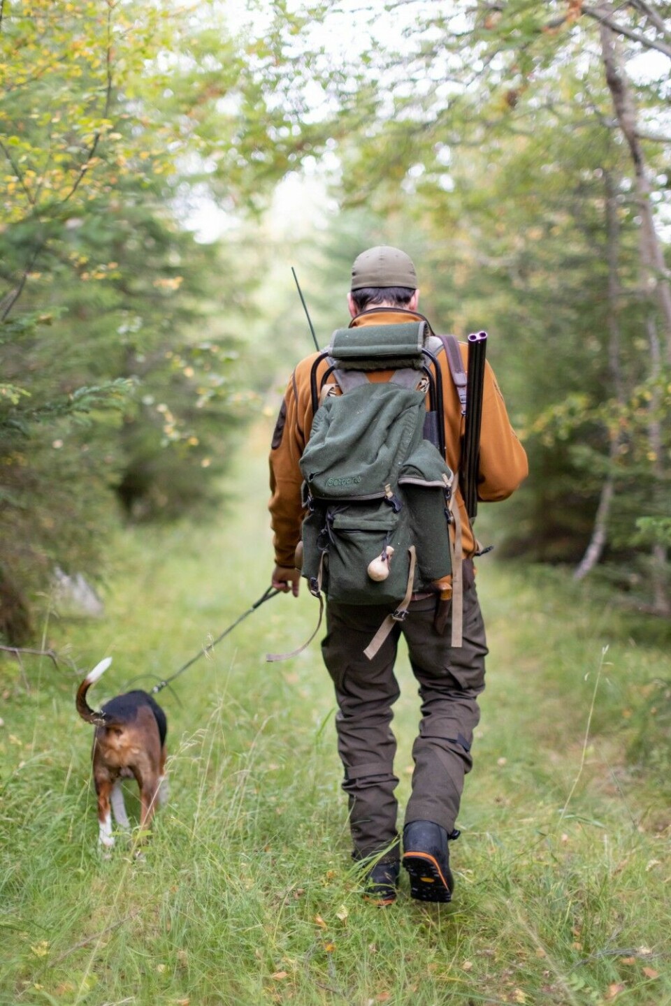 – Jeg var ute noen turer på bukkejakt i år, for første gang på mange år, Men mens jeg satt der, tenkte jeg at det var ganske kjedelig uten hund, humrer Vetle Berntsen. – Jeg var ute noen turer på bukkejakt i år, for første gang på mange år, Men mens jeg satt der, tenkte jeg at det var ganske kjedelig uten hund, humrer Vetle Berntsen.