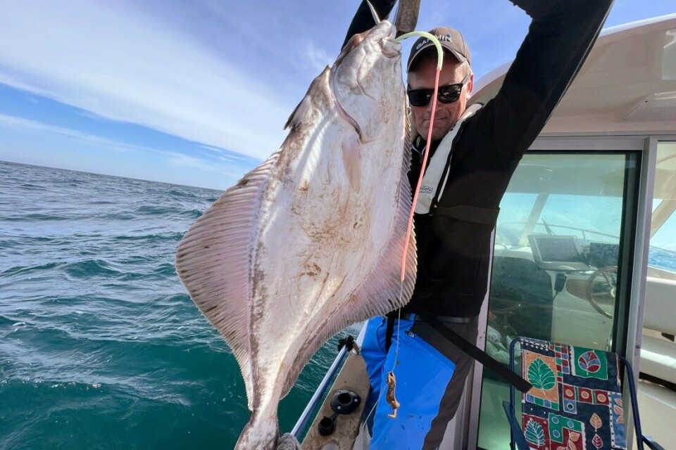 Knut Erik Hansen har fått opp en lovlig kveite på 12 kilo fra mer enn 500 meters dybde i Skagerrak. Knut Erik Hansen har fått opp en lovlig kveite på 12 kilo fra mer enn 500 meters dybde i Skagerrak.