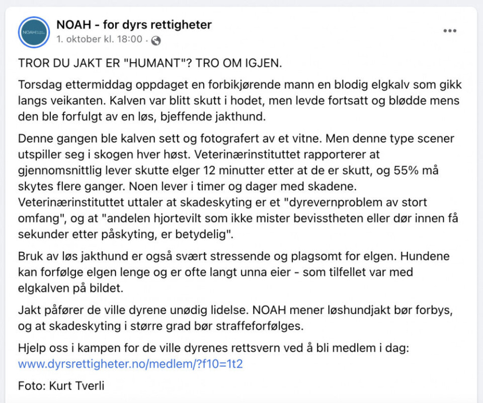 Faksimile fra NOAHs egen feed på Facebook. Faksimile fra NOAHs egen feed på Facebook.