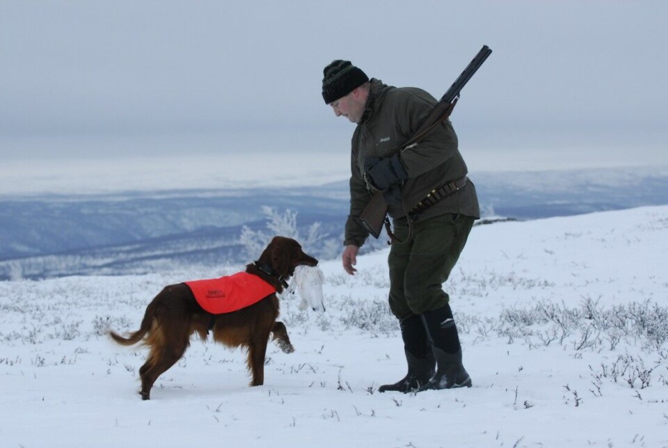 I slutten av januar forkastet FeFo- styret Finnmarkskommisjonens konklusjon om at lokalbefolkningen i Karasjok har retten til land og vann. Her fra vidda mellom Alta og Masi. I slutten av januar forkastet FeFo- styret Finnmarkskommisjonens konklusjon om at lokalbefolkningen i Karasjok har retten til land og vann. Her fra vidda mellom Alta og Masi.