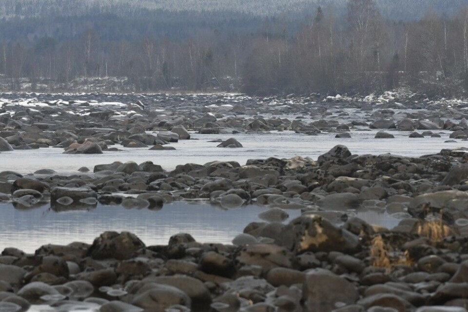 Fisketrappa ved Strandfossen er en av trappene som de seinere årene er holdt åpent hele året. Det har ikke gitt store problemer med isdannelse. Her fotografert i midten av november. Fisketrappa ved Strandfossen er en av trappene som de seinere årene er holdt åpent hele året. Det har ikke gitt store problemer med isdannelse. Her fotografert i midten av november.