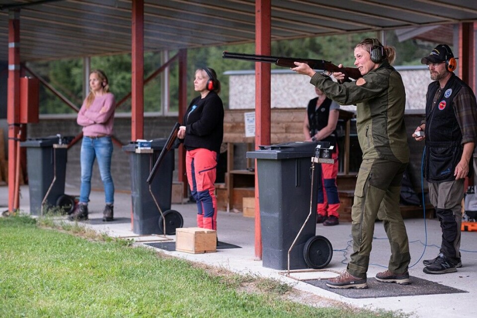 Jintehælj på årntli’