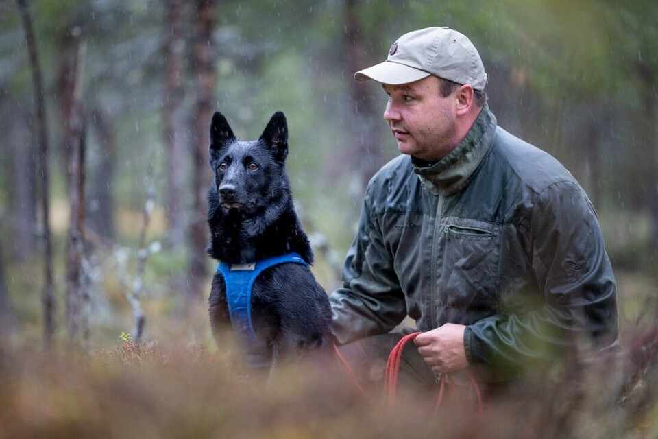 For Bjørnar Hansen er skogen og viltet en livsnødvendig medisin. Her med Loke (3). For Bjørnar Hansen er skogen og viltet en livsnødvendig medisin. Her med Loke (3).