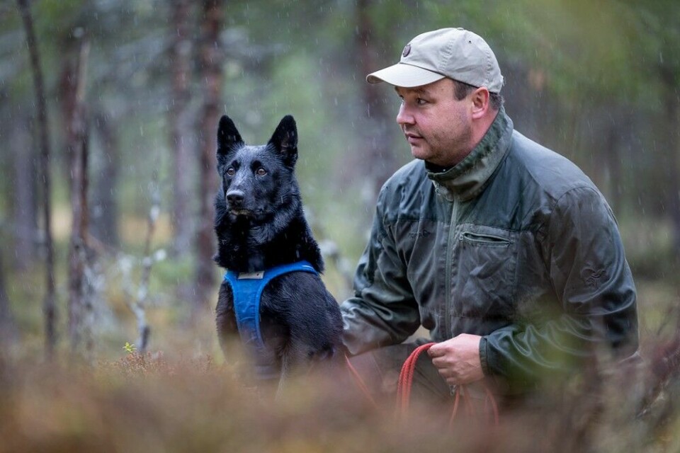 For Bjørnar Hansen er skogen og viltet en livsnødvendig medisin. Her med Loke (3).