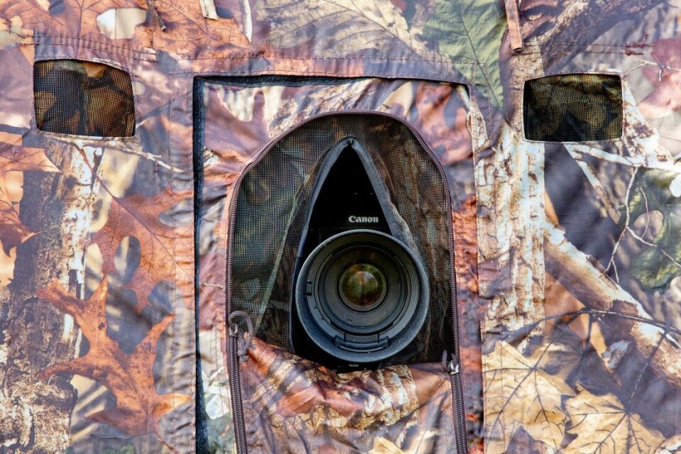 Kamoteltet er godt utstyrt med luker. Disse er godt utformet med tanke på objektiver. Test av Photo Hide Buteo Mark II fotoskjul