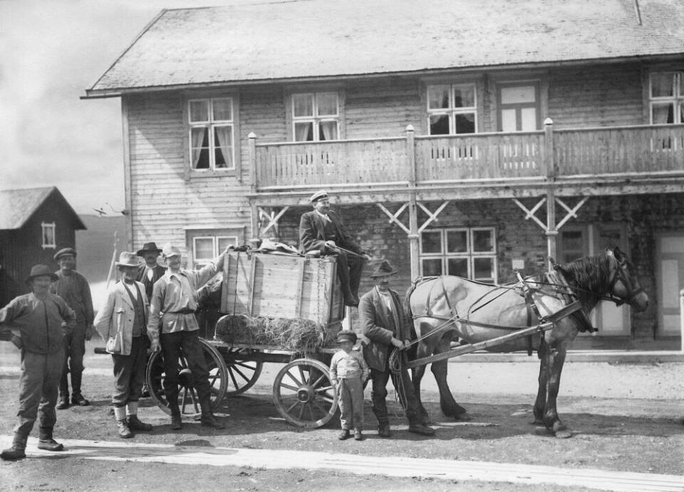 Det første beverparet som ble hentet i Åmli, ble fraktet med tog, hest og båt på vei til sitt nye hjem i Bjurälvdalen, der det ankom juni 1922. Mannen oppå beverkassen er Eric Festin.