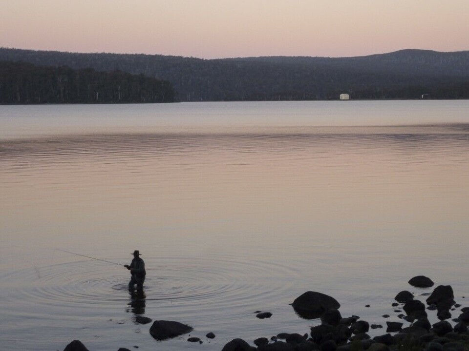 Tasmania er mest kjent for fiske i vann og innsjøer. Men det er stor fisk i elvene også. Tasmania er mest kjent for fiske i vann og innsjøer. Men det er stor fisk i elvene også.