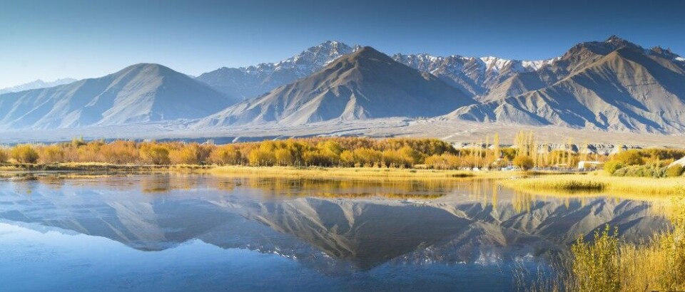 Om ikke fisken er av den største i Himalaya, er kanskje omgivelsene noe av det mest spektakulære som fins på planeten. Om ikke fisken er av den største i Himalaya, er kanskje omgivelsene noe av det mest spektakulære som fins på planeten.