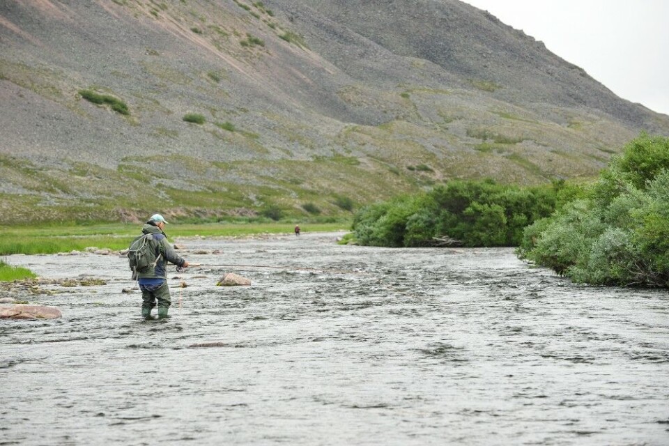 Parti fra Adamsdalen – Syltefjordelvas katedral, omtrent to mil opp i elva. Her kan du hive sekken på ryggen og rusle kilometer etter kilometer, fiskeplassene ligger som perler på ei snor. Parti fra Adamsdalen – Syltefjordelvas katedral, omtrent to mil opp i elva. Her kan du hive sekken på ryggen og rusle kilometer etter kilometer, fiskeplassene ligger som perler på ei snor.