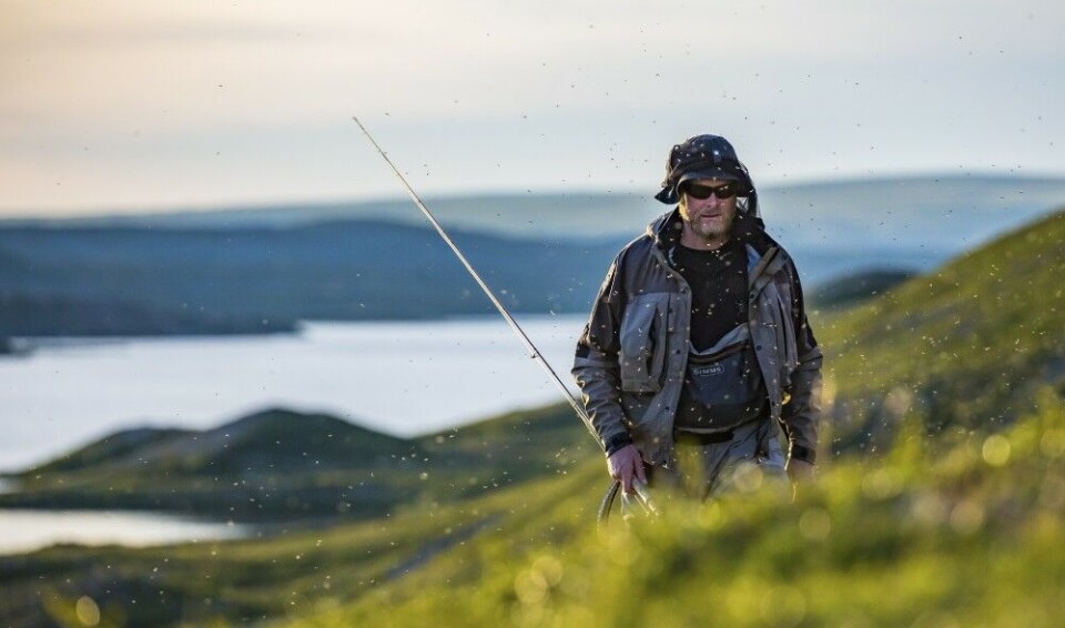 Når vinden gir seg, kommer insektene. Mygg, knott døgn- og vårfluer. De store røyene våkner som regel til liv når vinden har lagt seg fullstendig. Lars Kvistum lar seg ikke affisere nevneverdig.