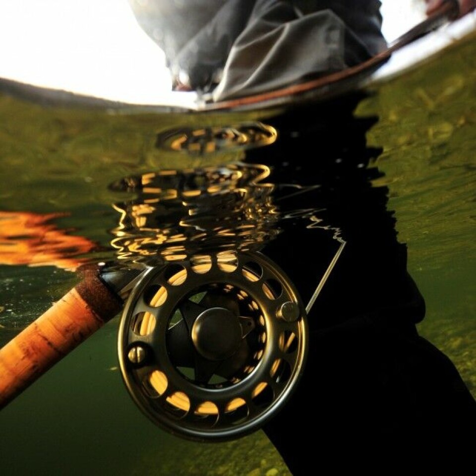 Fluefiske dominerer i Fusta, men du kan også fiske med sluk/spinner. Fluefiske dominerer i Fusta, men du kan også fiske med sluk/spinner.