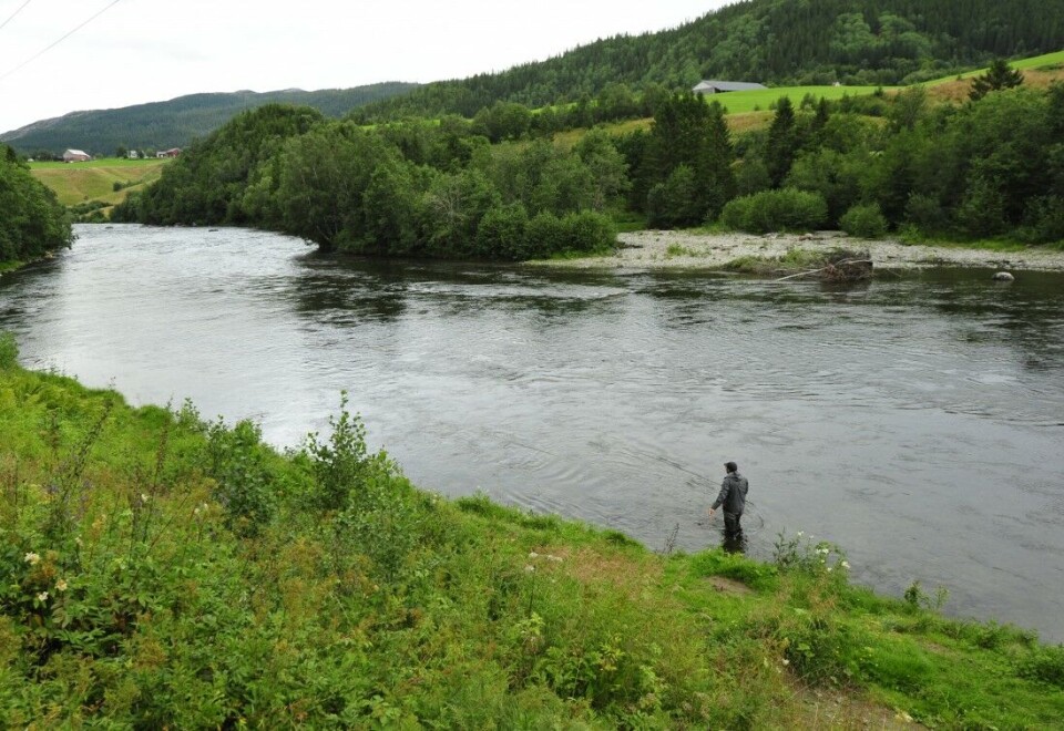 Sørlendingen Bjarte Austvik har siktet seg inn på et fristende brekk på sone 2 i idylliske Fusta, fjorårets snakkis i laksekretser. Perlen på Helgeland bør vurderes i ferieplanene kommende sesong! Sørlendingen Bjarte Austvik har siktet seg inn på et fristende brekk på sone 2 i idylliske Fusta, fjorårets snakkis i laksekretser. Perlen på Helgeland bør vurderes i ferieplanene kommende sesong!