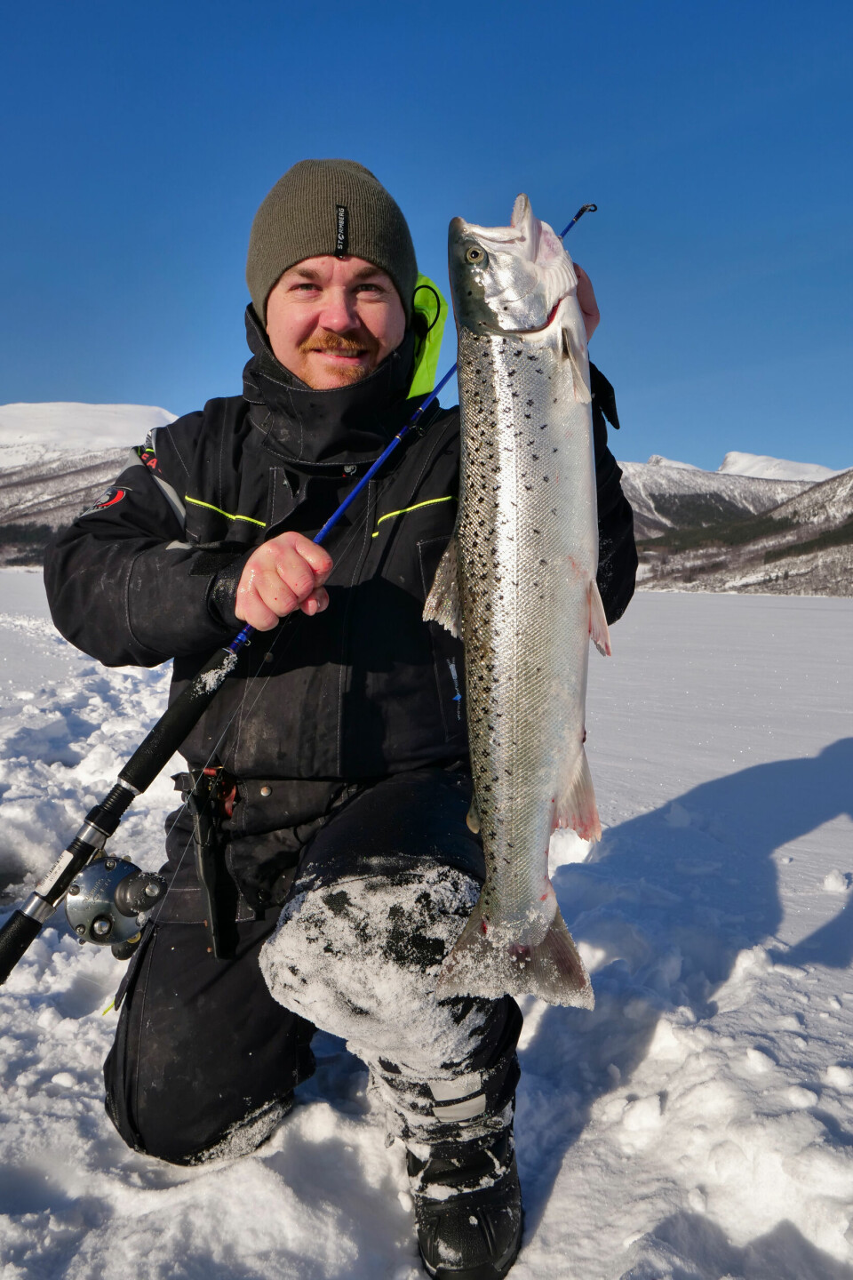Fin fangst fra Beiarn i Nordland. Drømmen om å reise nordover vinterstid for å fiske sjøørret på isen ble til suksess. Fisken tok en opptint tobis et par meter under isen, og veide ca. 2,5 kg.