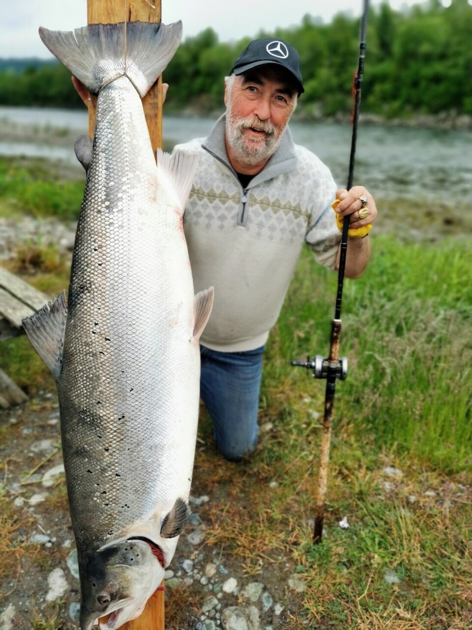 13. juni, i sin 47. sesong (!) i Orkla, landet Alan Steinsvoll fra Mausund denne giganten på 23,6 kilo på Engmannvaldet. Alan brukte nærmere to timer på å temme kjempen, som trolig er tidenes Orklalaks. 13. juni, i sin 47. sesong (!) i Orkla, landet Alan Steinsvoll fra Mausund denne giganten på 23,6 kilo på Engmannvaldet. Alan brukte nærmere to timer på å temme kjempen, som trolig er tidenes Orklalaks.