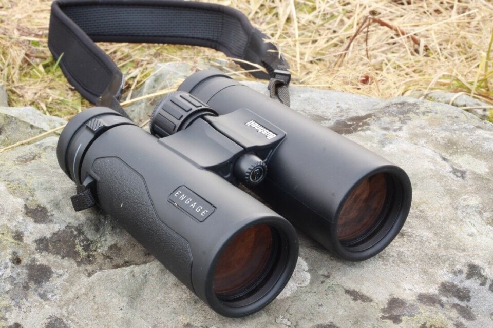 Bushnell Engage 10x42 er en stor kikkert med behagelig bilde i dårlig lys. Test av Bushnell Engage 10x42 kikkert