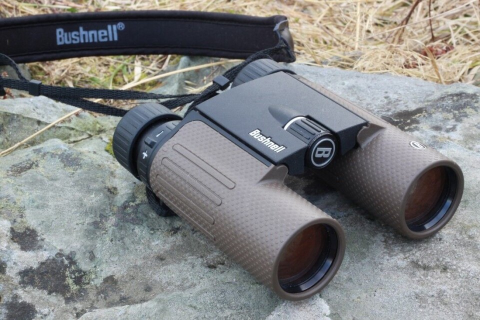 Stor kikkert i lite format Test av Bushnell Forge 10x30 mm