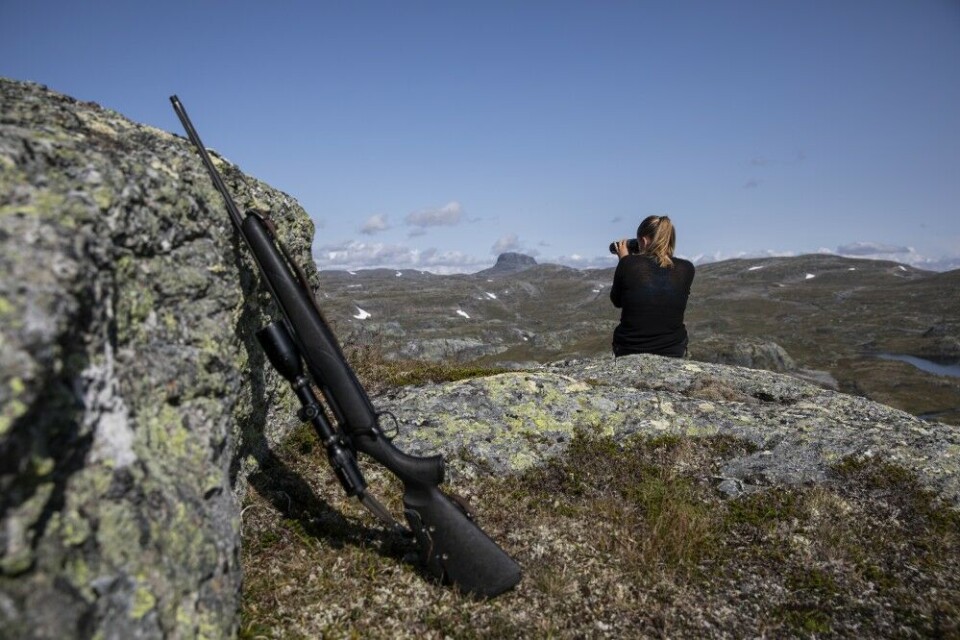 Vestvidda er «heimefjella» til hardingene og røldølene. I uminnelige tider har det karakteristiske fjellet Hårteigen i horisonten vært veiviseren. Vestvidda er «heimefjella» til hardingene og røldølene. I uminnelige tider har det karakteristiske fjellet Hårteigen i horisonten vært veiviseren.
