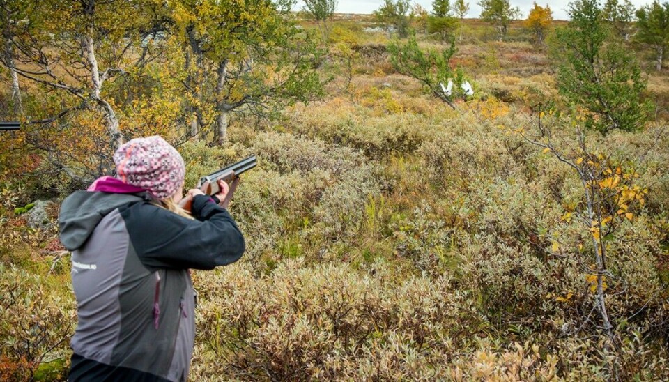 Rypejegeren som ved et uhell traff jaktkameraten sin, er frifunnet i Høyesterett. OBS! Bildet er kun ment som illustrasjon. Rypejegeren som ved et uhell traff jaktkameraten sin, er frifunnet i Høyesterett. OBS! Bildet er kun ment som illustrasjon.