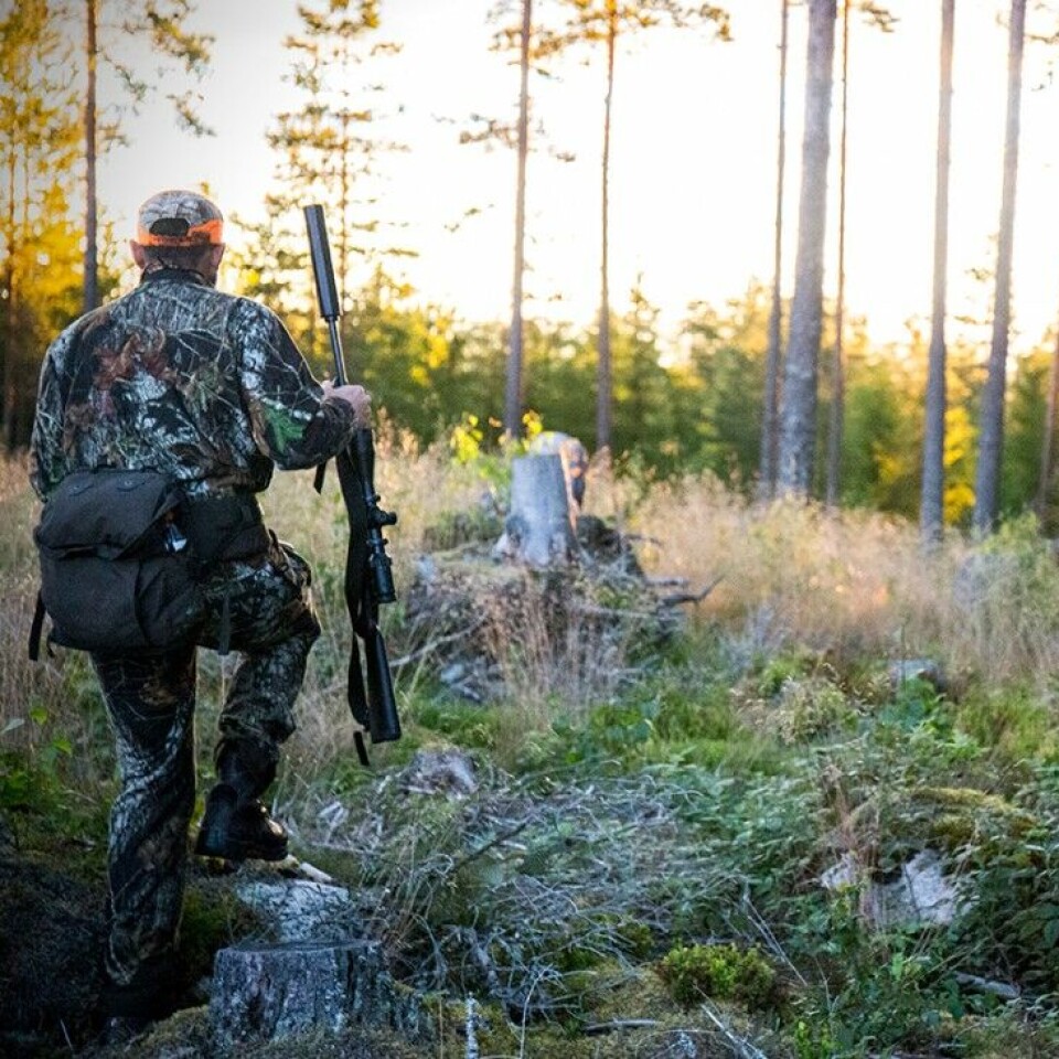 Bra forberedelser gir bedre bukkejakt