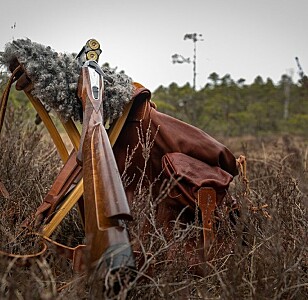 Første gang en jeger blir anmeldt for brudd på blyhaglforbudet