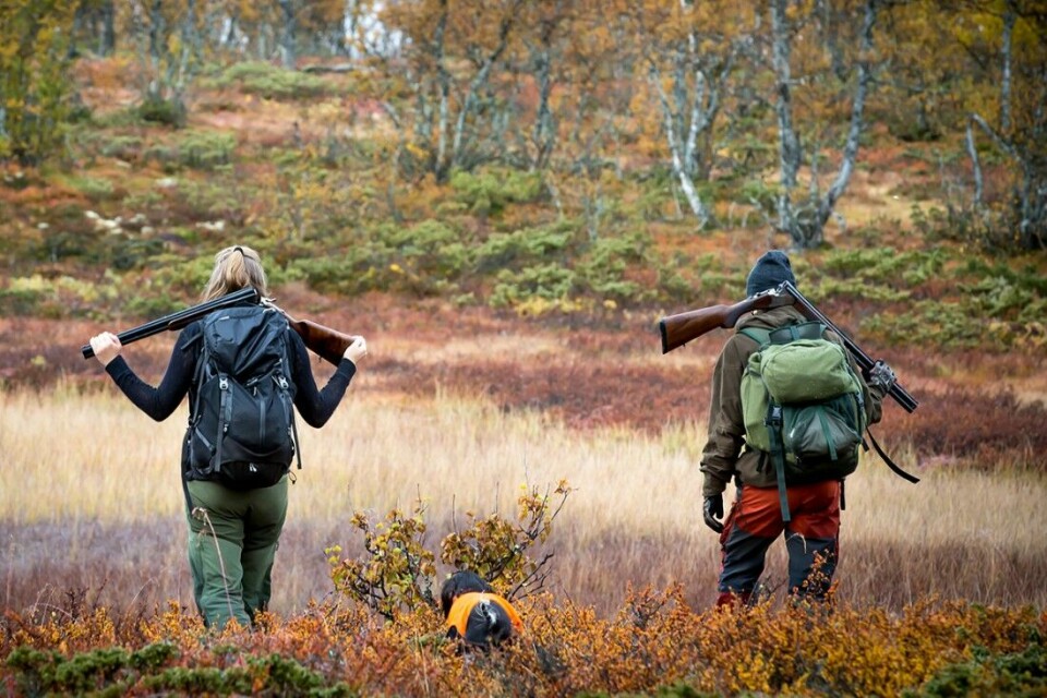 Fra 15. februar 2023 er det i all praksis slutt på bruk av blyhagl i Norge.