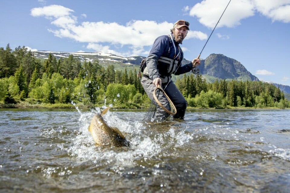 Sportsfiskeguide Trond Hagen lever drømmen om Hemsil. Men han skulle gjerne hatt litt mer tid til å fiske selv …