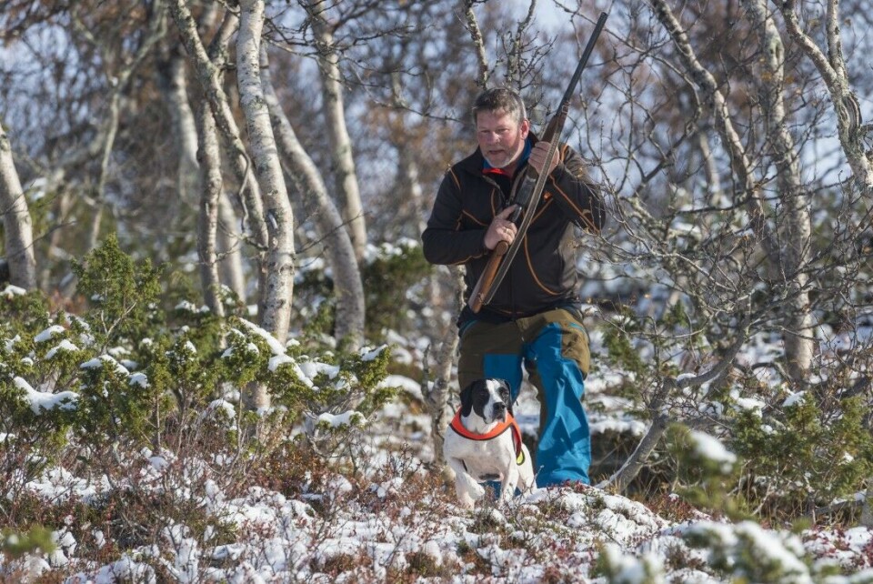 Rypejakt etter snøfall