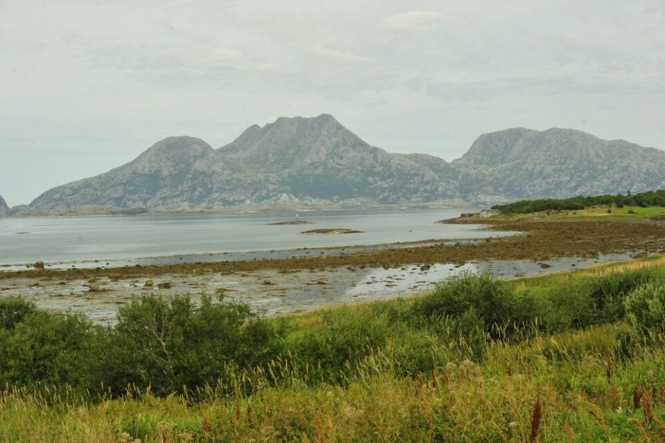 Helgelandskysten er ett av tyngdepunktene for grågåsjakta i Nordland. Helgelandskysten er ett av tyngdepunktene for grågåsjakta i Nordland.