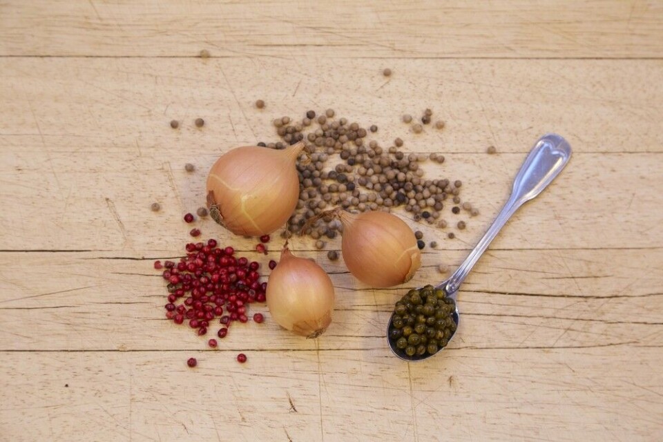 Pepper er ikke pepperJeg bruker tre sorter pepper som jeg hakker og knuser i morter før steking. Først og fremst grønn, hermetisk pepper. Helst fra Madagaskar. Dette er umodne frø fra pepperbusken, som er svært aromatiske og velegnet til stekt kjøtt. Den ligger i lake, og er såpass bløt at den kan hakkes. Pepper er ikke pepperJeg bruker tre sorter pepper som jeg hakker og knuser i morter før steking. Først og fremst grønn, hermetisk pepper. Helst fra Madagaskar. Dette er umodne frø fra pepperbusken, som er svært aromatiske og velegnet til stekt kjøtt. Den ligger i lake, og er såpass bløt at den kan hakkes.
