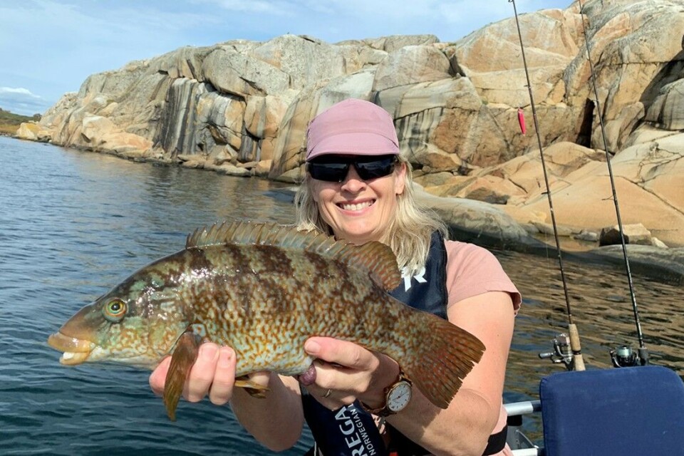 Fest med fjesing og berggylte