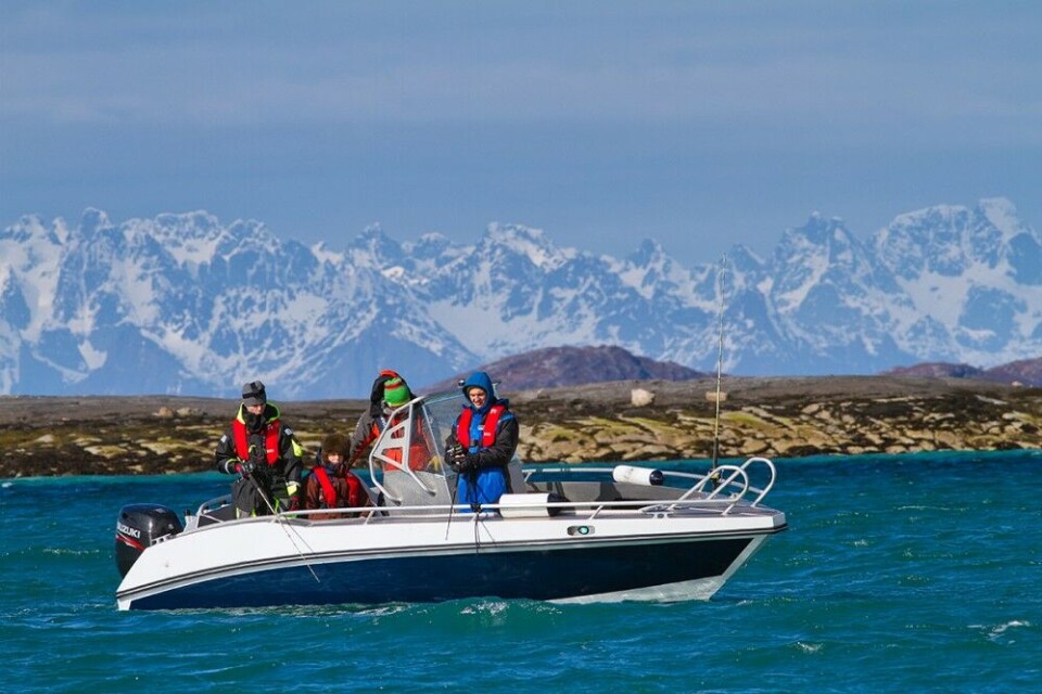 Drar du nordover for å fiske kveite, får du flotte naturopplevelser på kjøpet. Her har elever fra Sportsfiskelandslinja på Grong tatt turen til Steigen for å delta på kveitekurs. Lofotveggen i bakgrunnen. Drar du nordover for å fiske kveite, får du flotte naturopplevelser på kjøpet. Her har elever fra Sportsfiskelandslinja på Grong tatt turen til Steigen for å delta på kveitekurs. Lofotveggen i bakgrunnen.