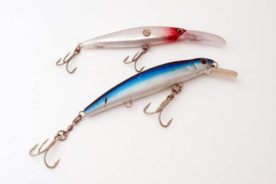 To klassiske kveitewobblere. Her en Rapala Clackin ́ MAG 20 cm (øverst) og en Strike Pro Giant 20 cm. To klassiske kveitewobblere. Her en Rapala Clackin ́ MAG 20 cm (øverst) og en Strike Pro Giant 20 cm.