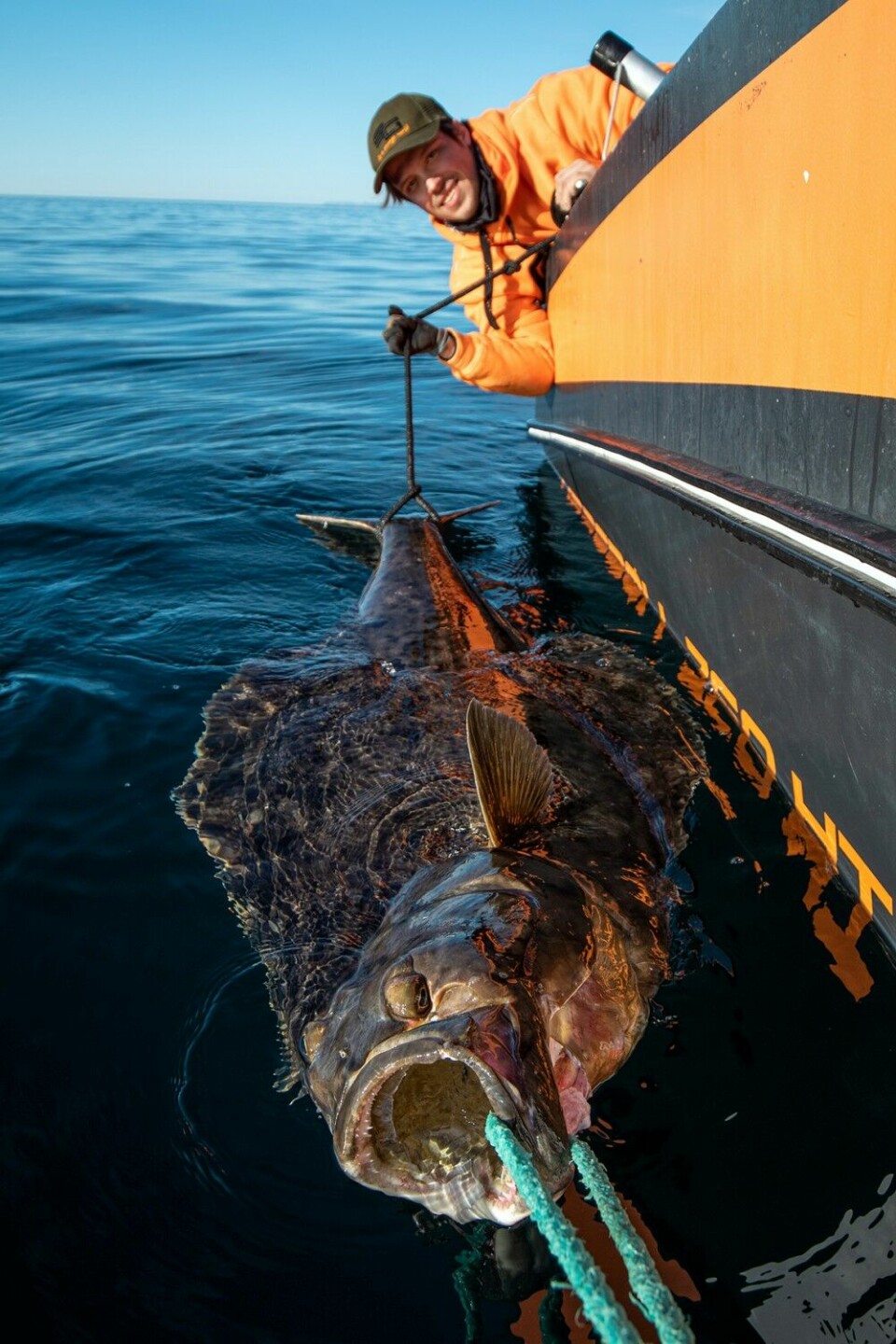 De norske fiskeguidene i Nord-Norge har vært med på å forme det nye kveitefisket. Her er fiskeguide Jørgen Zwilgmeyer. Kveita fikk friheten tilbake etter at bildet var tatt.
