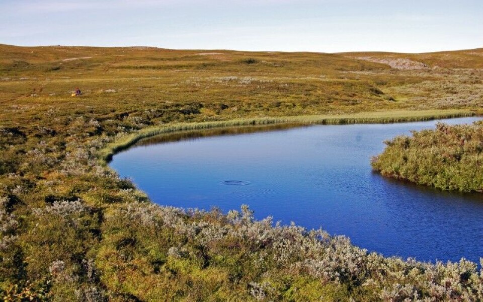En måned med packraft på Nordkalotten