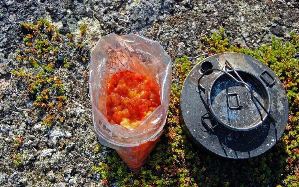 En måned med packraft på Nordkalotten