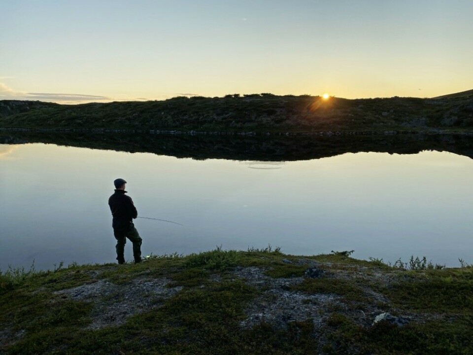 Slike kveldsstunder gir rom til å fortape seg helt i øyeblikket. Frykten for at jeg ikke skulle klare å skaffe nok mat med fiskestanga slapp fort taket. Slike kveldsstunder gir rom til å fortape seg helt i øyeblikket. Frykten for at jeg ikke skulle klare å skaffe nok mat med fiskestanga slapp fort taket.