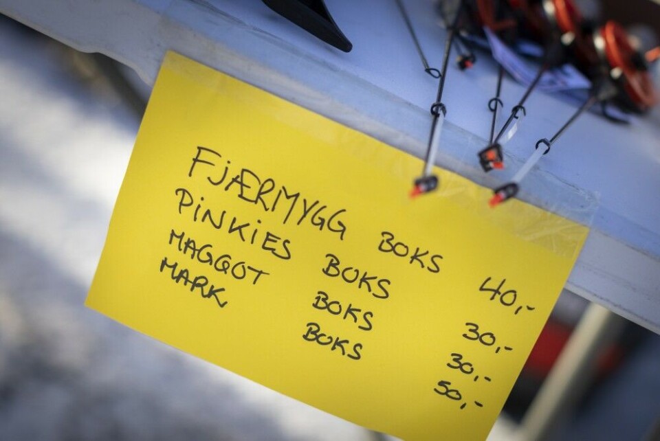 Se bildene fra NM isfiske på Einafjorden