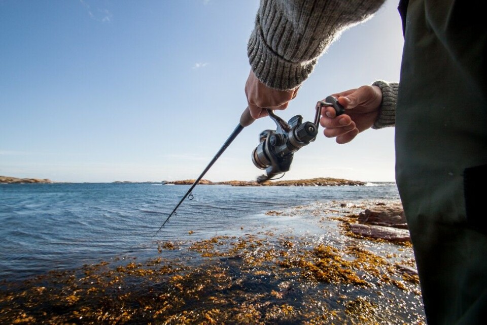 Stanga er opplagt blant sportsfiskerens desidert viktigste redskaper, og det gjelder å bruke den riktig. Stanga er opplagt blant sportsfiskerens desidert viktigste redskaper, og det gjelder å bruke den riktig.