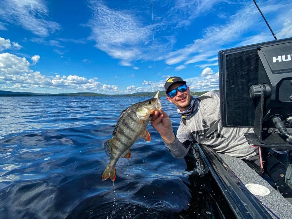 Sluker som dette lager mye leven og beveger seg heftig under vann. De angripes ofte hardt og brutalt. Her har en storabbor slukt en Rapala Rippin Rap, en såkalt Lippless Crankbait-variant. Sluker som dette lager mye leven og beveger seg heftig under vann. De angripes ofte hardt og brutalt. Her har en storabbor slukt en Rapala Rippin Rap, en såkalt Lippless Crankbait-variant.
