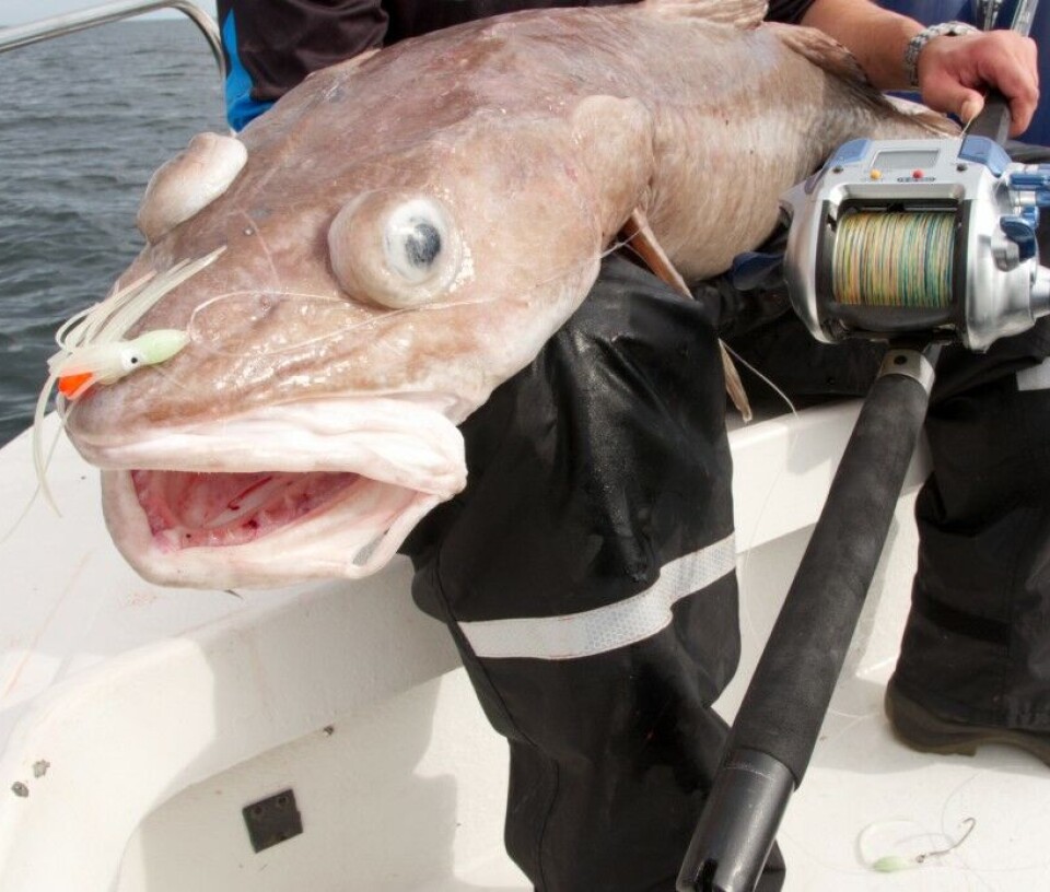 Elektriske sneller - Drahjelp i dypet