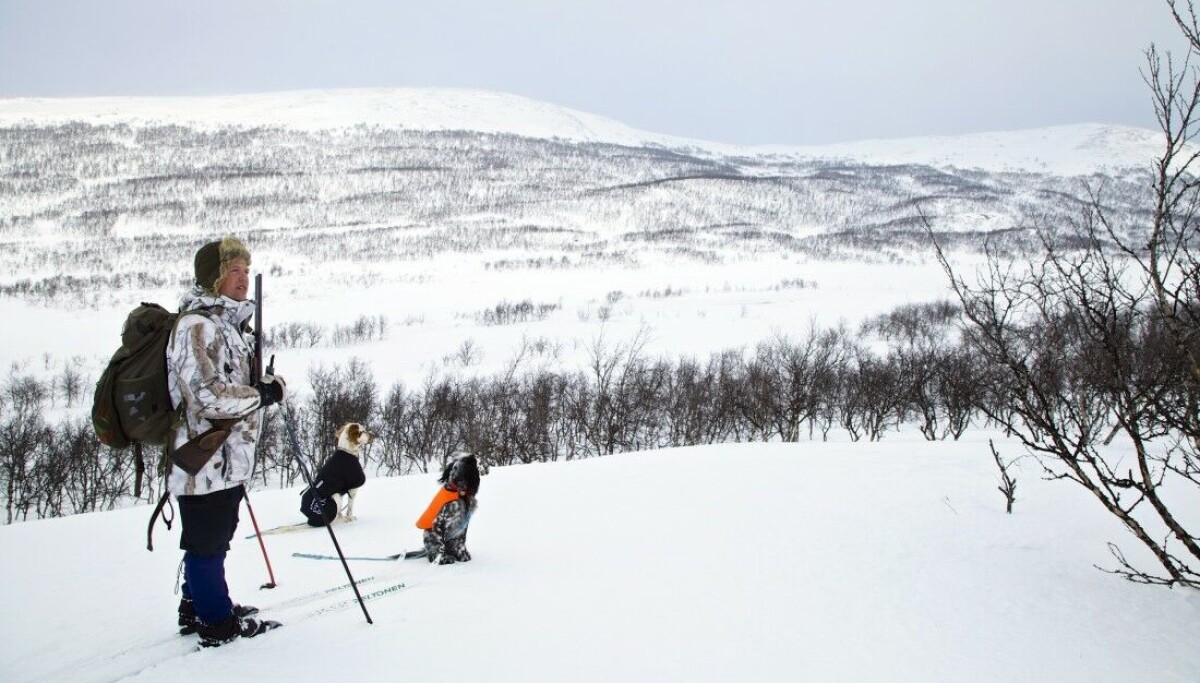 Bruk fjellet i vinterhalvåret