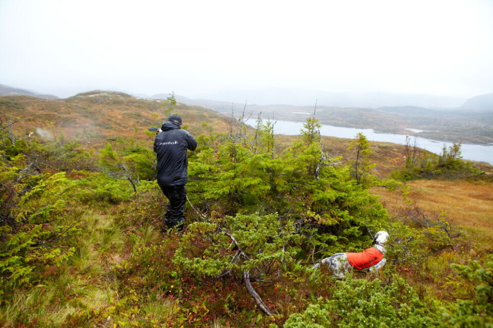 Tenk over hvor du posisjonerer deg i de første jaktsituasjonene. I dette tilfellet ville hunden opplevd lyden betydelig skarpere om den sto rett foran jegeren. Tenk over hvor du posisjonerer deg i de første jaktsituasjonene. I dette tilfellet ville hunden opplevd lyden betydelig skarpere om den sto rett foran jegeren.
