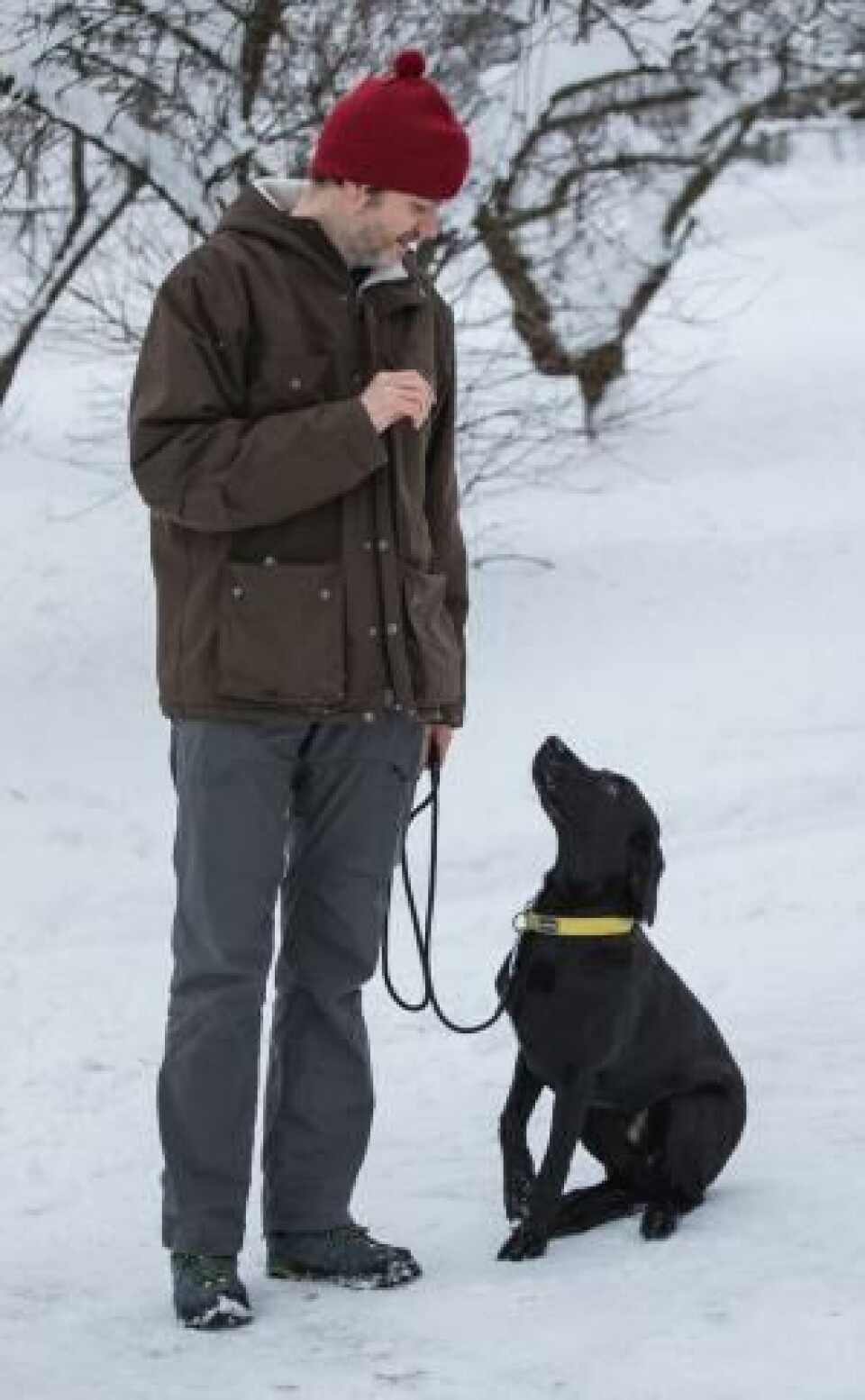 Selv om lineføring er en kontaktøvelse, bør et minimum av kontakt mellom hund og fører være etablert før man starter innlæringen. Hunden må også ha lært kommandoene «sitt» og Selv om lineføring er en kontaktøvelse, bør et minimum av kontakt mellom hund og fører være etablert før man starter innlæringen. Hunden må også ha lært kommandoene «sitt» og