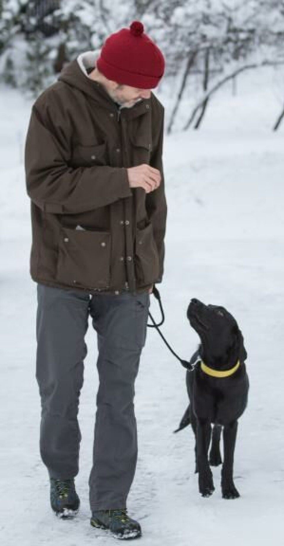 Oppretthold kontakten mens dere går. Hvis hunden begynner å dra, korrigerer du med et bestemt «nei» etterfulgt av ny «fot»-kommando. Vær oppmuntrende i stemmen når den lystrer, før du igjen kommanderer «sitt» og gir godbit og ros. Oppretthold kontakten mens dere går. Hvis hunden begynner å dra, korrigerer du med et bestemt «nei» etterfulgt av ny «fot»-kommando. Vær oppmuntrende i stemmen når den lystrer, før du igjen kommanderer «sitt» og gir godbit og ros.