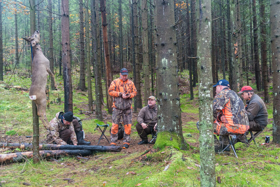 Samling på fallet. Rune Jørgensen ordner bålet, Johan Ribe og Dag Seland konstaterer at losen fremdeles turer, men i «feil» område, mens Tor Atle Stangersnes og Rune Steine nyter nista. Samling på fallet. Rune Jørgensen ordner bålet, Johan Ribe og Dag Seland konstaterer at losen fremdeles turer, men i «feil» område, mens Tor Atle Stangersnes og Rune Steine nyter nista.