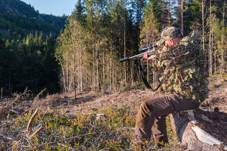 I bukkejakta trekkes definerte områder, som jegeren disponerer alene. I bukkejakta trekkes definerte områder, som jegeren disponerer alene.