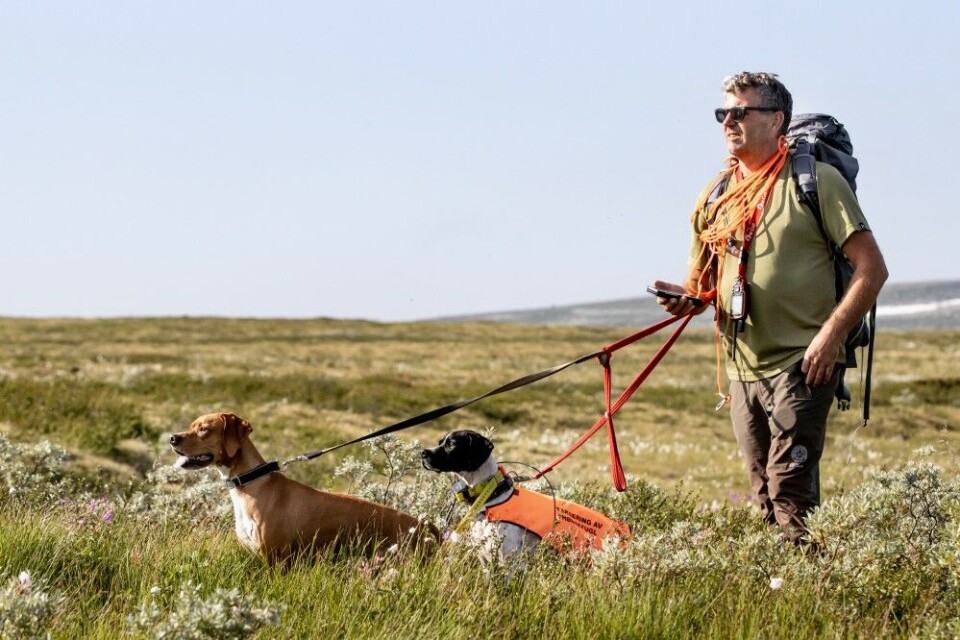 Olav Schrøder – fylkessekretær i NJFF Aust-Agder, har vært sentral i arbeidet med taksering i Agder i en årrekke. Her med pointerne Halsenutens Nipa (t.v.) og Lytingfjellets Lega. Olav Schrøder – fylkessekretær i NJFF Aust-Agder, har vært sentral i arbeidet med taksering i Agder i en årrekke. Her med pointerne Halsenutens Nipa (t.v.) og Lytingfjellets Lega.